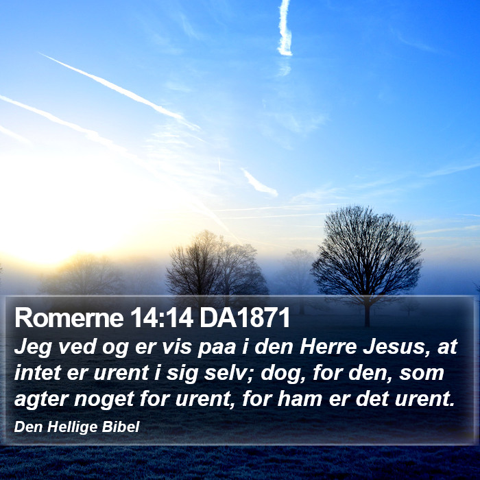 Romerne 14:14 DA1871 Bible Study