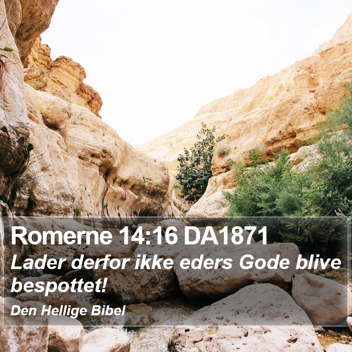 Romerne 14:16 DA1871 Bible Study