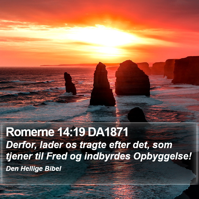 Romerne 14:19 DA1871 Bible Study