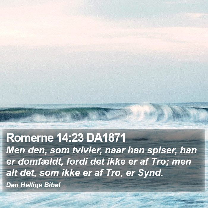 Romerne 14:23 DA1871 Bible Study