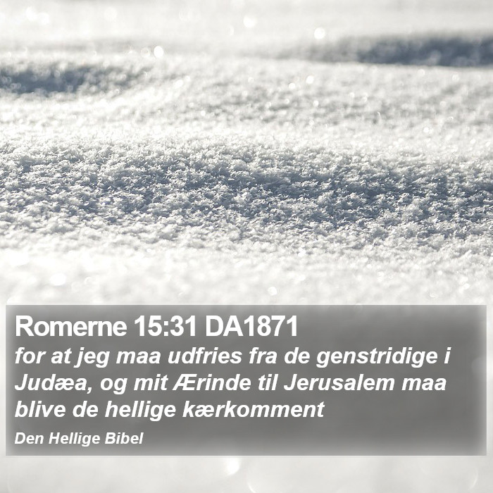 Romerne 15:31 DA1871 Bible Study