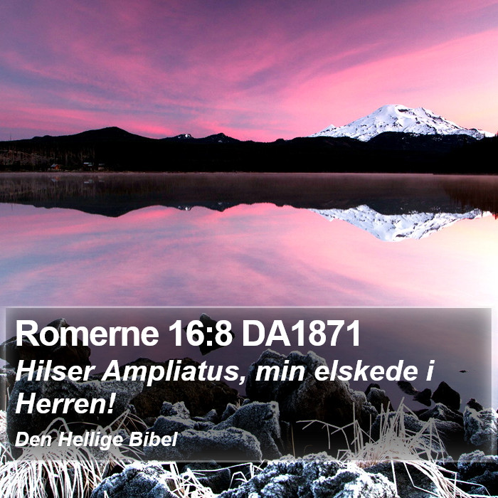 Romerne 16:8 DA1871 Bible Study