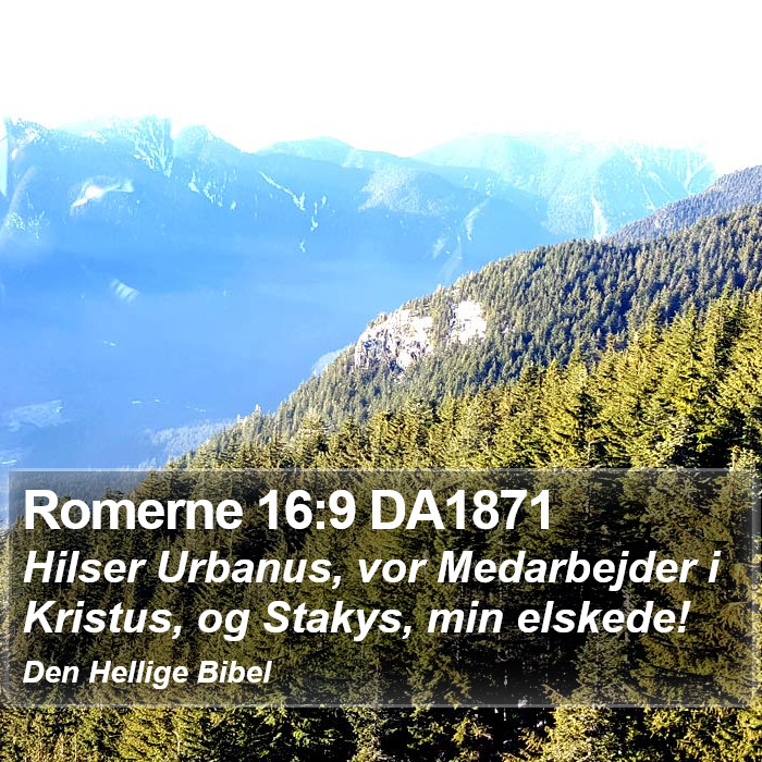 Romerne 16:9 DA1871 Bible Study