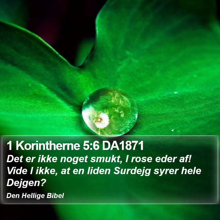 1 Korintherne 5:6 DA1871 Bible Study