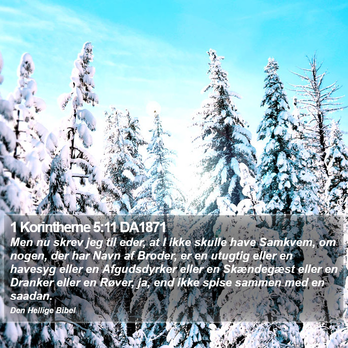 1 Korintherne 5:11 DA1871 Bible Study