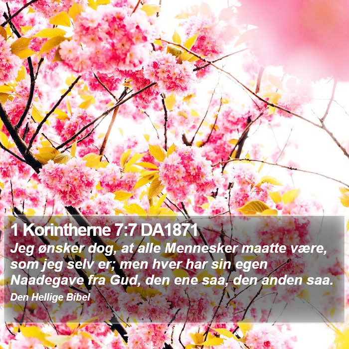 1 Korintherne 7:7 DA1871 Bible Study