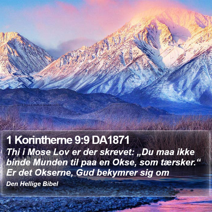 1 Korintherne 9:9 DA1871 Bible Study