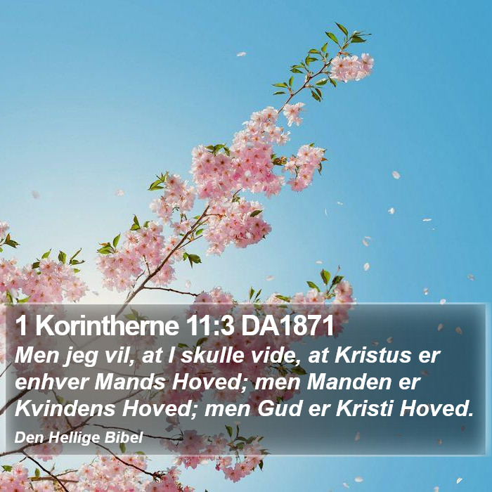 1 Korintherne 11:3 DA1871 Bible Study