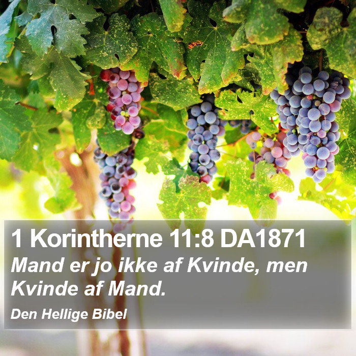 1 Korintherne 11:8 DA1871 Bible Study