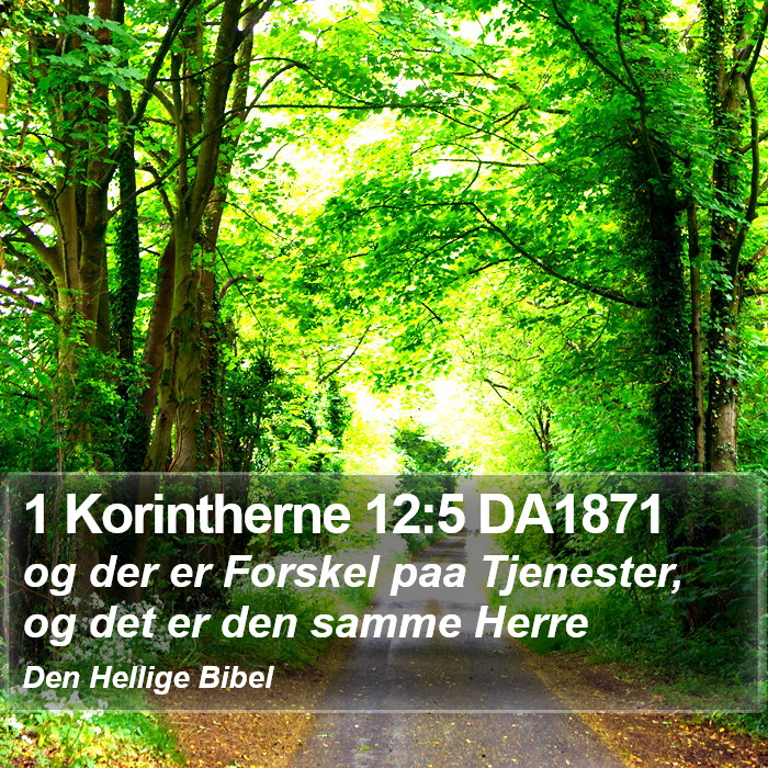 1 Korintherne 12:5 DA1871 Bible Study