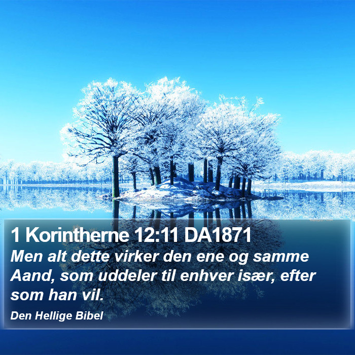 1 Korintherne 12:11 DA1871 Bible Study