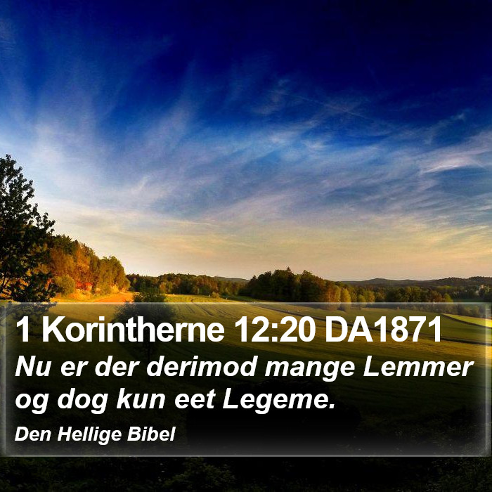 1 Korintherne 12:20 DA1871 Bible Study