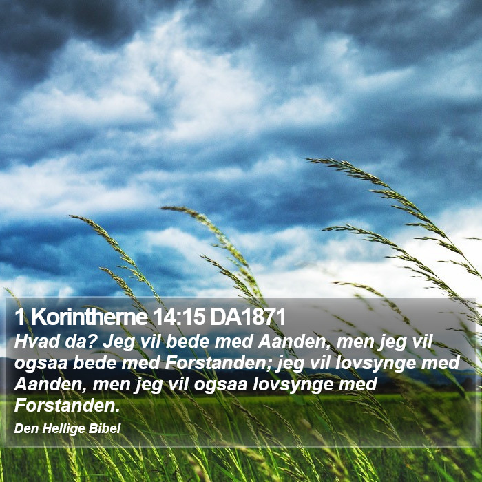 1 Korintherne 14:15 DA1871 Bible Study