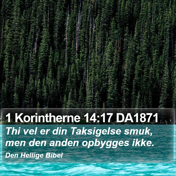 1 Korintherne 14:17 DA1871 Bible Study