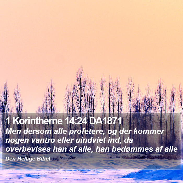 1 Korintherne 14:24 DA1871 Bible Study