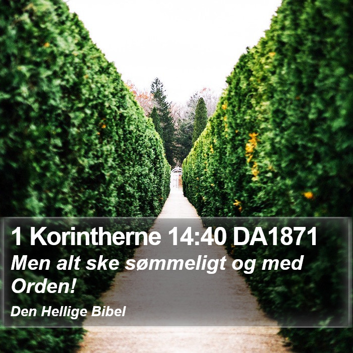 1 Korintherne 14:40 DA1871 Bible Study