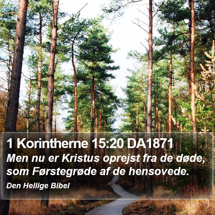 1 Korintherne 15:20 DA1871 Bible Study