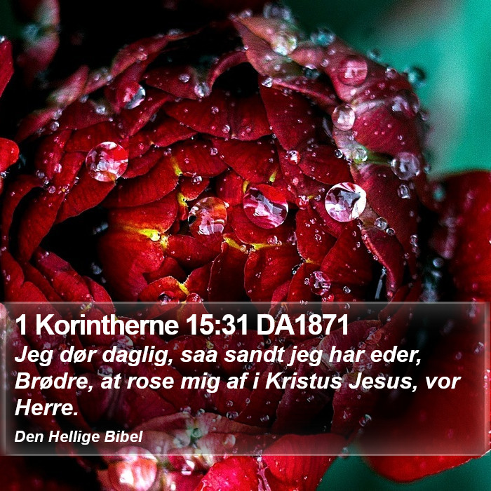 1 Korintherne 15:31 DA1871 Bible Study