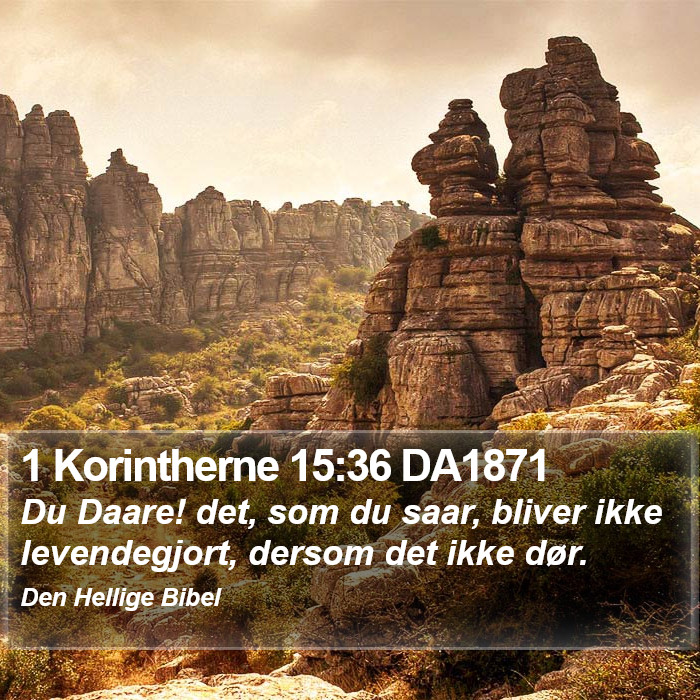 1 Korintherne 15:36 DA1871 Bible Study