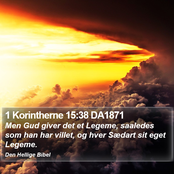 1 Korintherne 15:38 DA1871 Bible Study