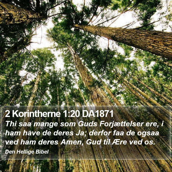 2 Korintherne 1:20 DA1871 Bible Study