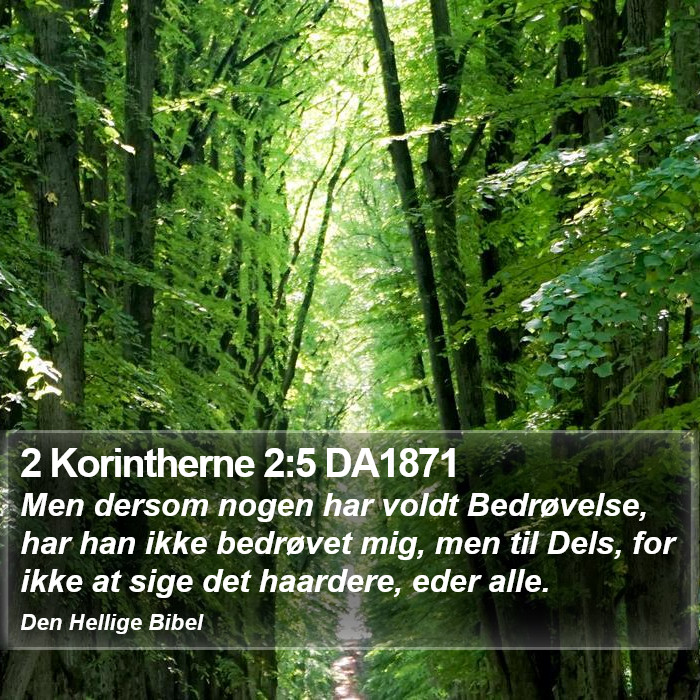 2 Korintherne 2:5 DA1871 Bible Study