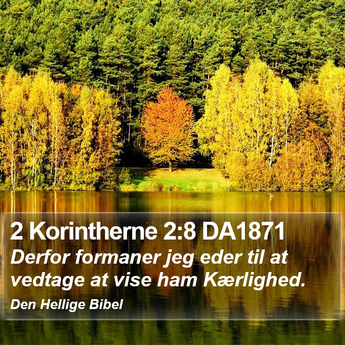 2 Korintherne 2:8 DA1871 Bible Study