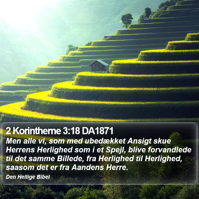 2 Korintherne 3:18 DA1871 Bible Study