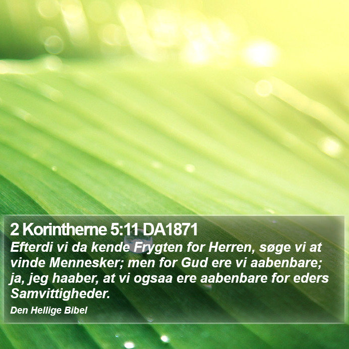 2 Korintherne 5:11 DA1871 Bible Study