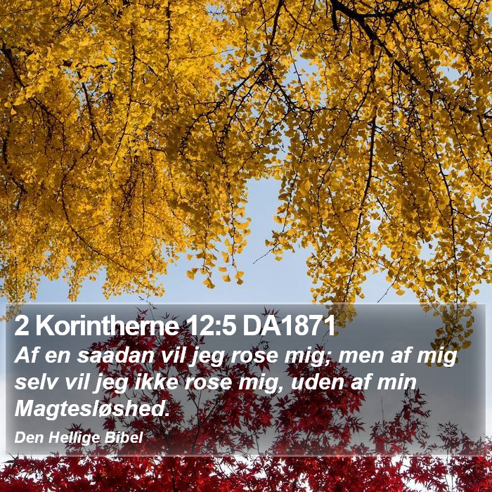 2 Korintherne 12:5 DA1871 Bible Study