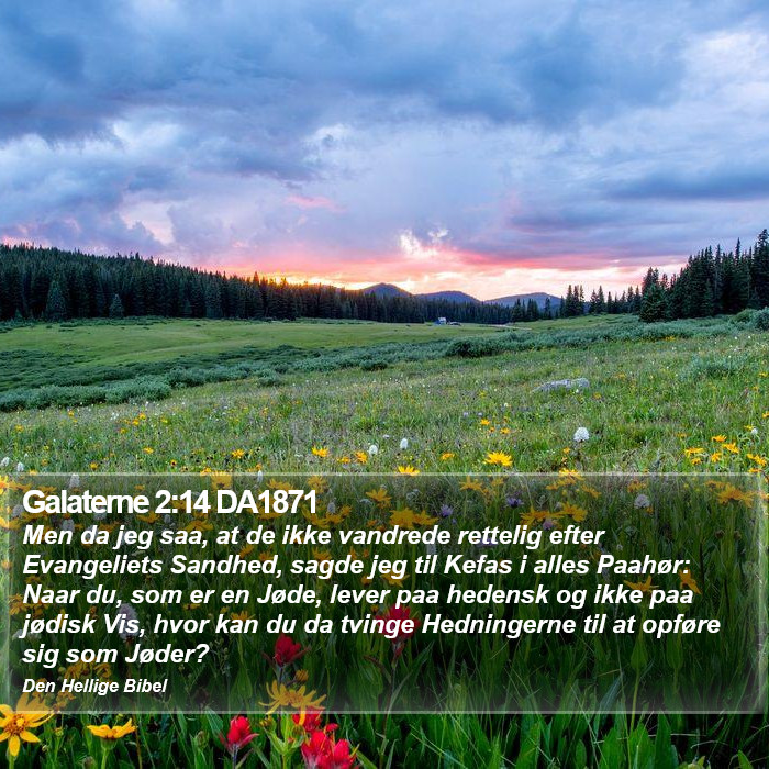 Galaterne 2:14 DA1871 Bible Study