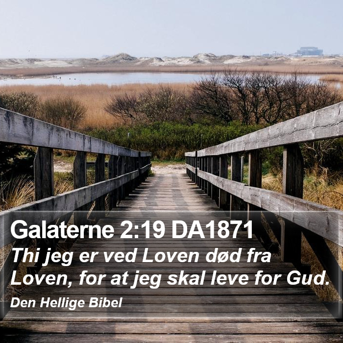 Galaterne 2:19 DA1871 Bible Study