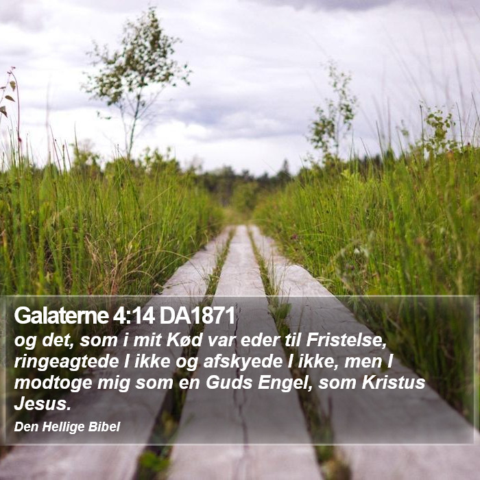 Galaterne 4:14 DA1871 Bible Study