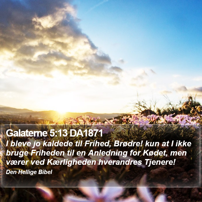 Galaterne 5:13 DA1871 Bible Study