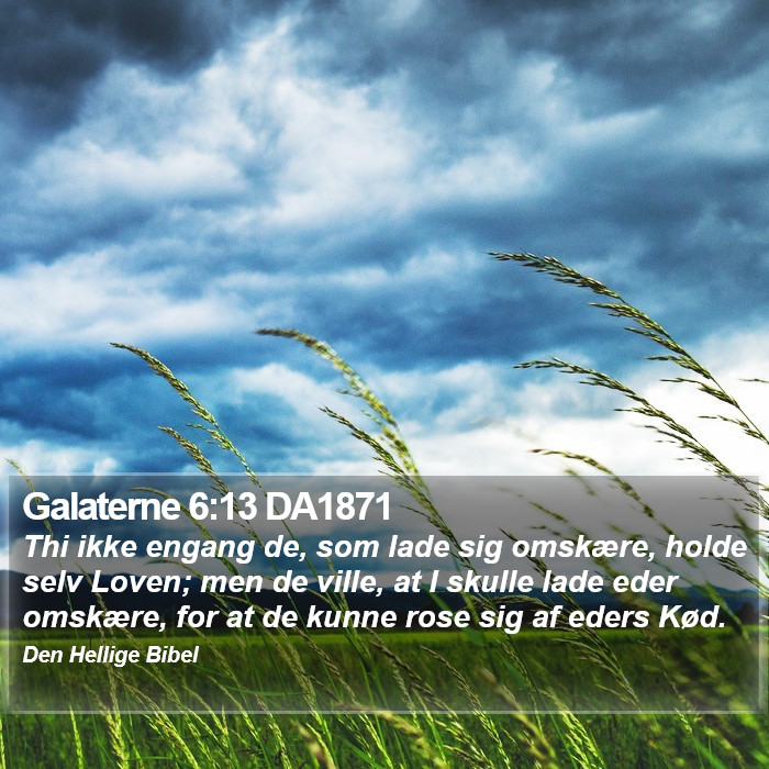 Galaterne 6:13 DA1871 Bible Study