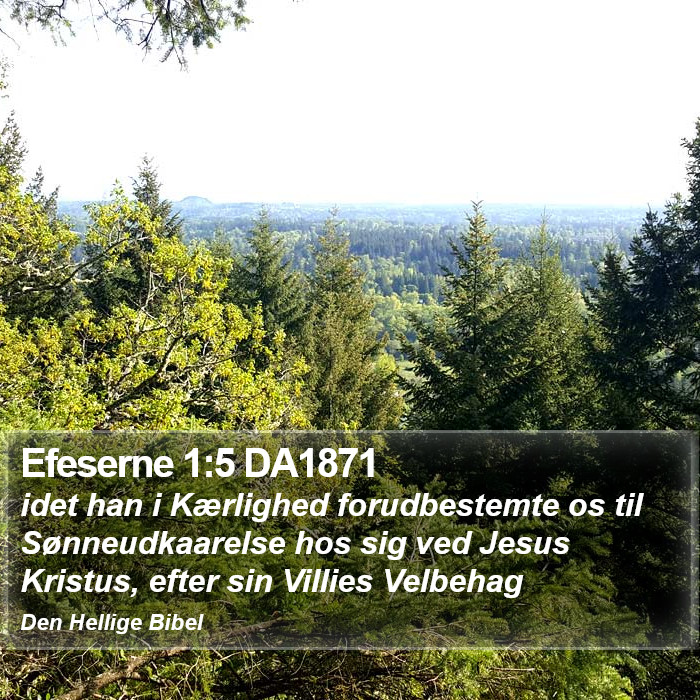 Efeserne 1:5 DA1871 Bible Study