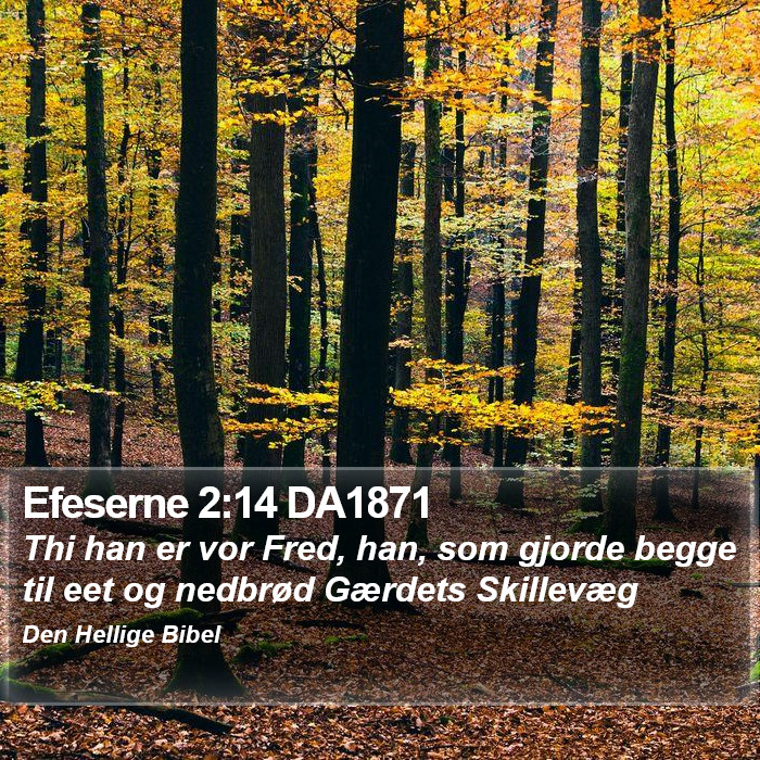 Efeserne 2:14 DA1871 Bible Study
