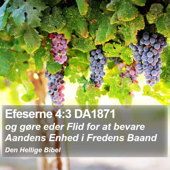 Efeserne 4:3 DA1871 Bible Study