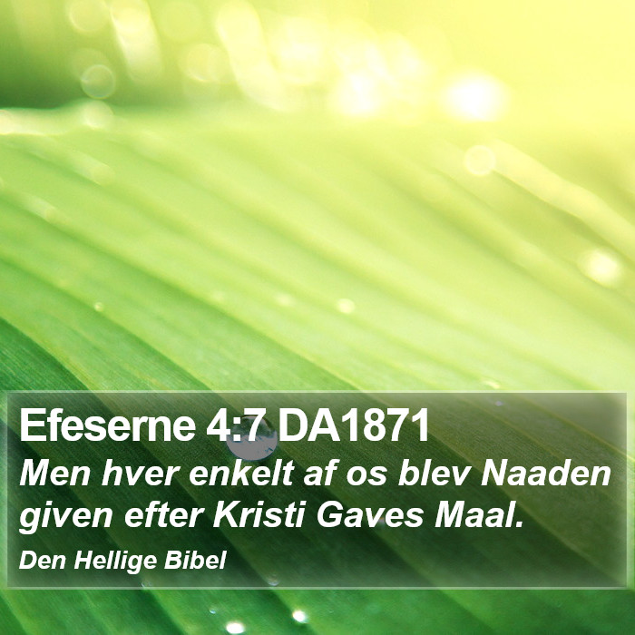 Efeserne 4:7 DA1871 Bible Study