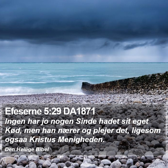 Efeserne 5:29 DA1871 Bible Study