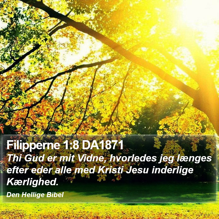 Filipperne 1:8 DA1871 Bible Study