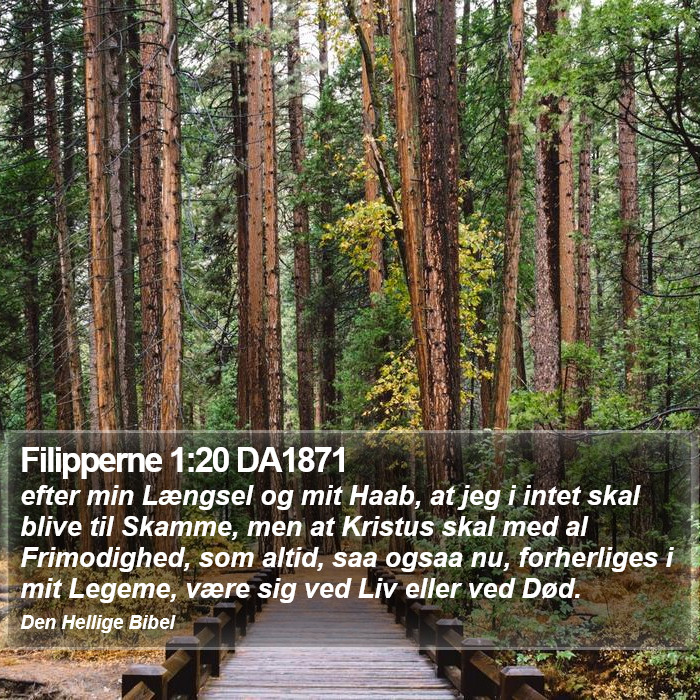 Filipperne 1:20 DA1871 Bible Study