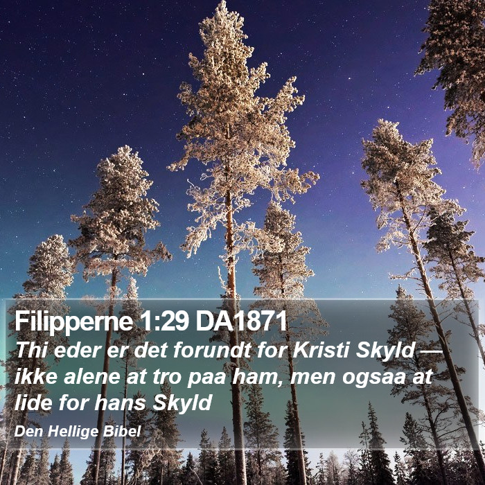 Filipperne 1:29 DA1871 Bible Study