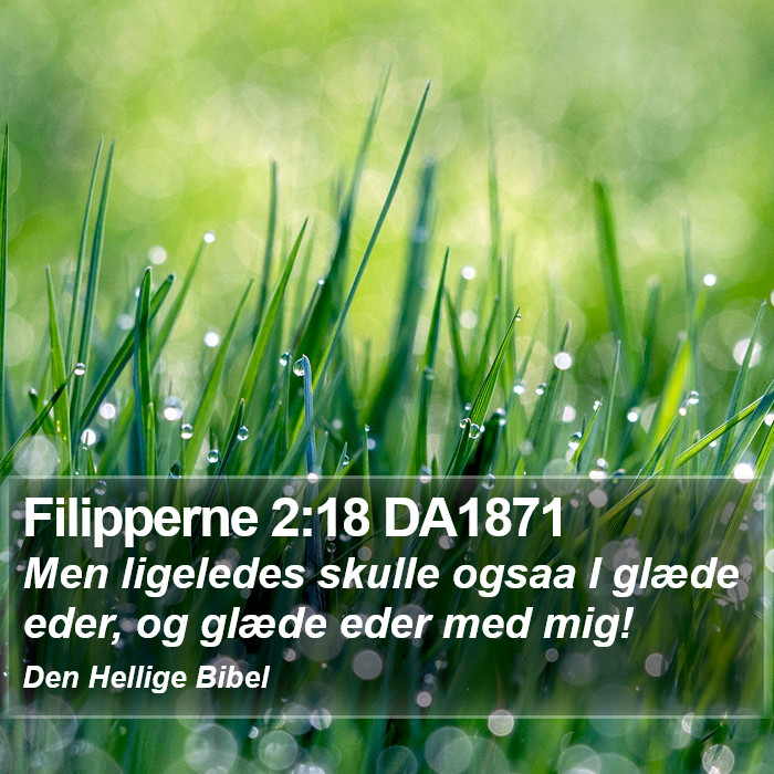 Filipperne 2:18 DA1871 Bible Study