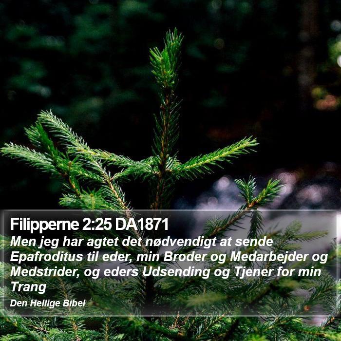 Filipperne 2:25 DA1871 Bible Study