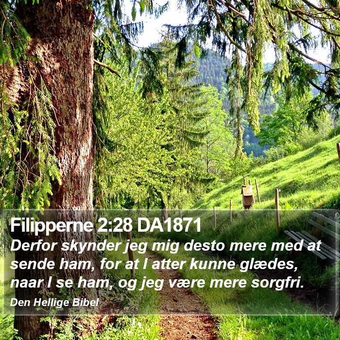 Filipperne 2:28 DA1871 Bible Study