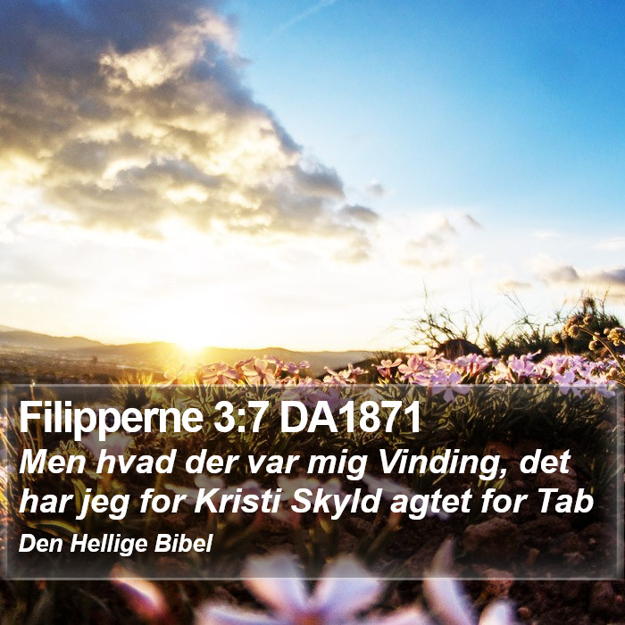 Filipperne 3:7 DA1871 Bible Study