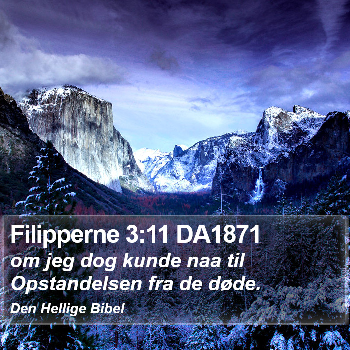 Filipperne 3:11 DA1871 Bible Study