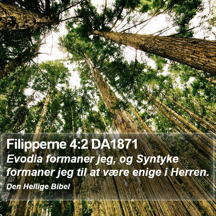 Filipperne 4:2 DA1871 Bible Study