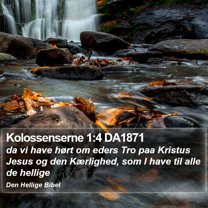 Kolossenserne 1:4 DA1871 Bible Study